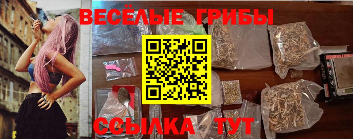 Кириши  Галлюциногенные грибы прущие грибы  Вход с VPN 